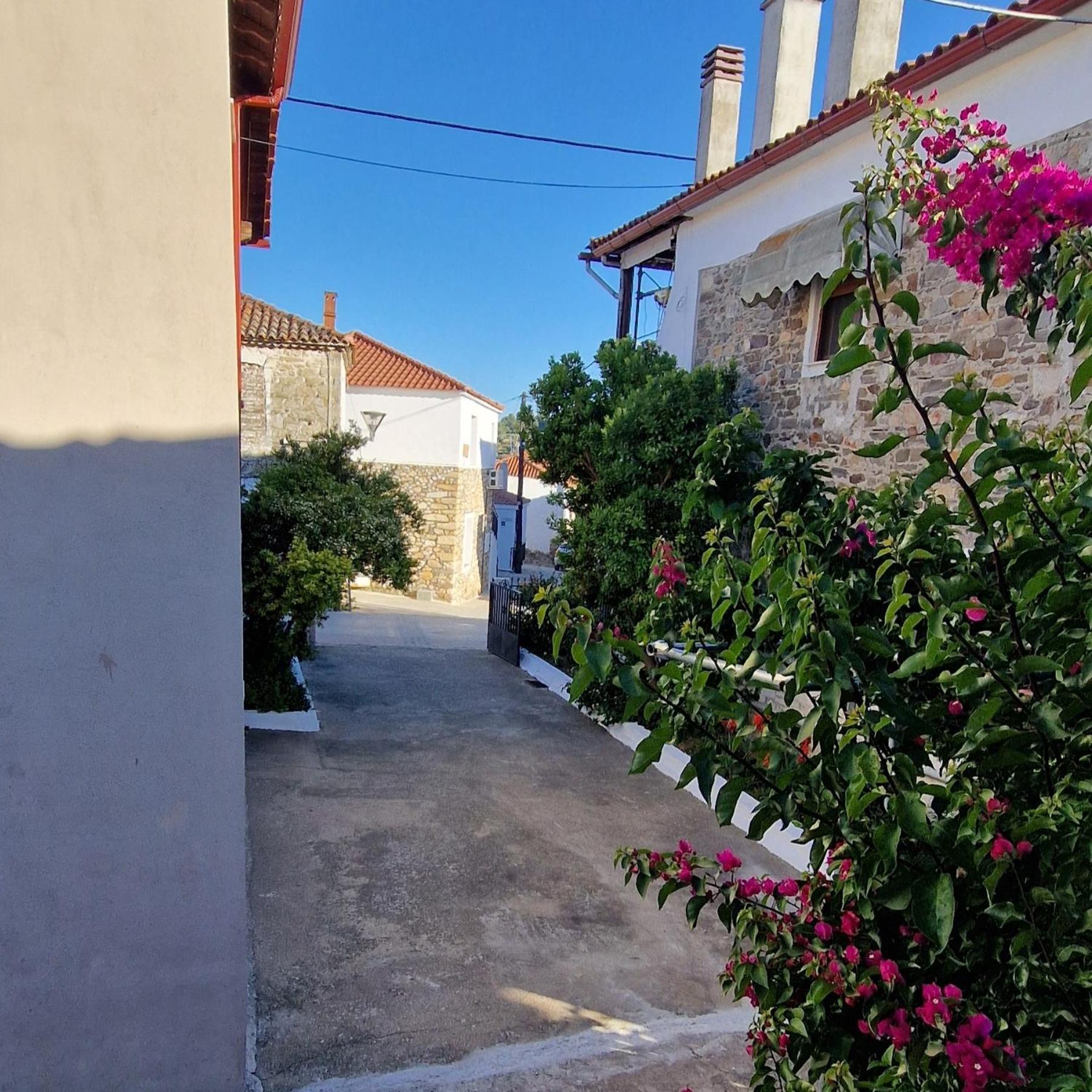Nikolaos House Apartment Agios Nikolaos  Exterior photo
