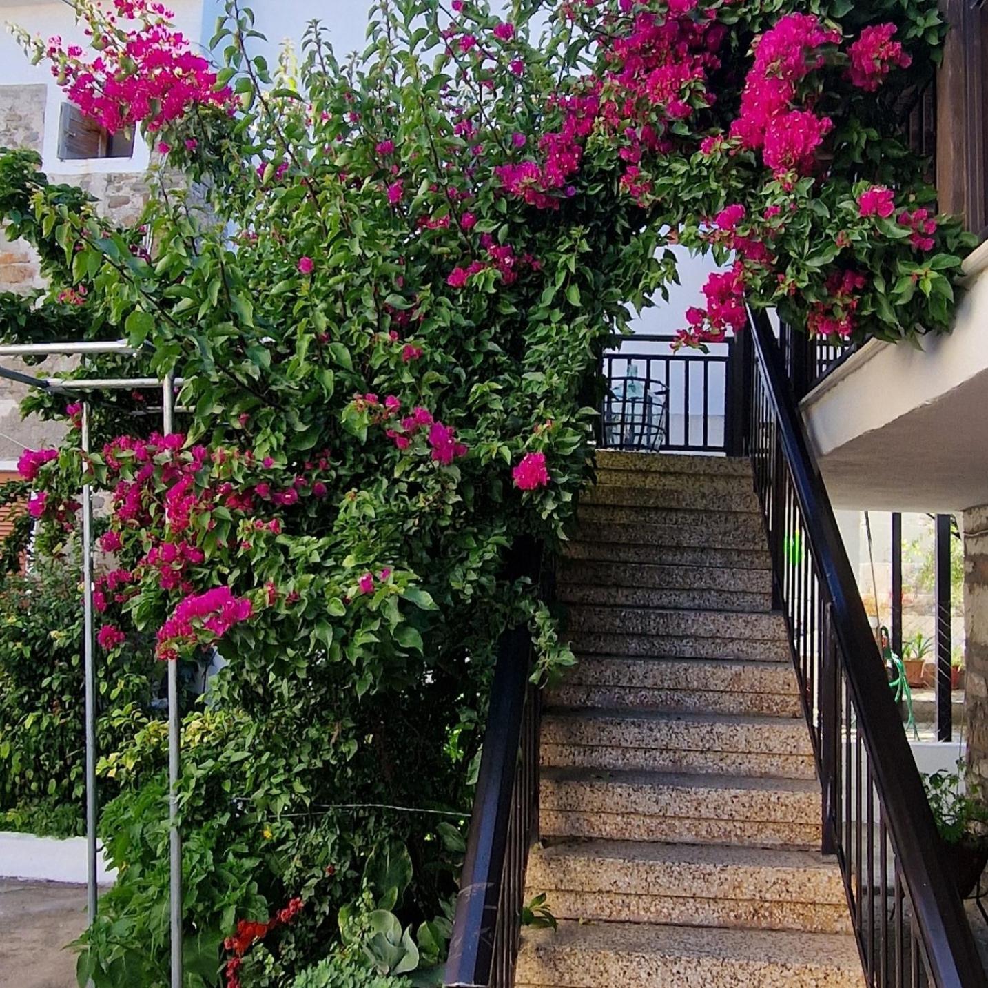 Nikolaos House Apartment Agios Nikolaos  Exterior photo